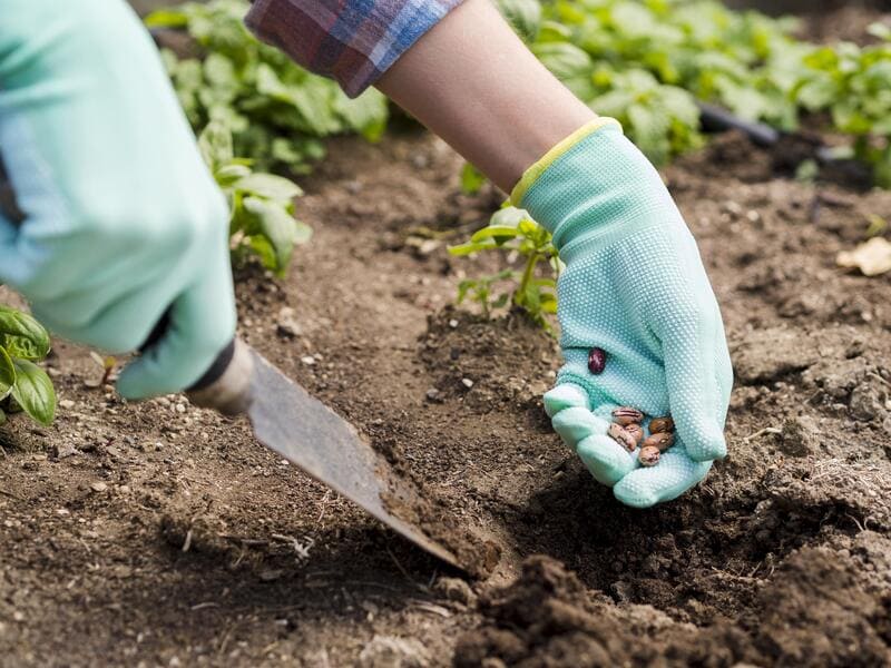 Activités zéro déchet : jardinage