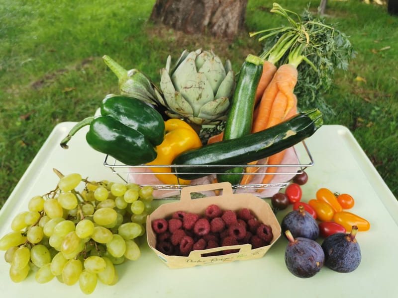 Activités zéro déchet : manger de saison.